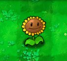 Plants vs. Zombies, подсолнух, 27KB